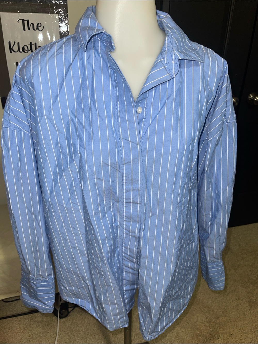 Everlane Light Blue and White Pinstripe Button-Down Shirt